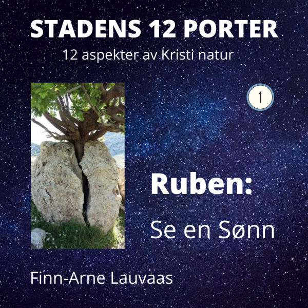 Stadens 12 porter - 01 Ruben: Se en Sønn