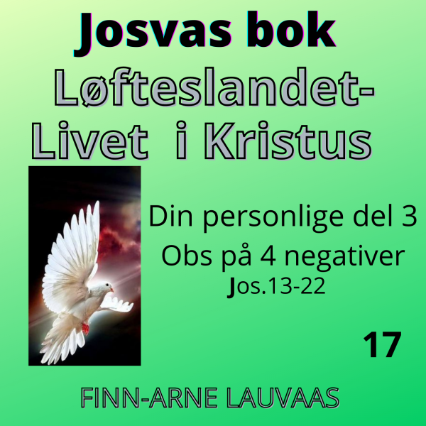 Josvas bok - 17 Din personlige del 3. Obs på 4 negativer
