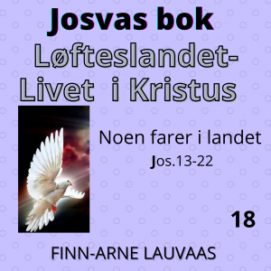Josvas bok - 18 Noen farer i landet