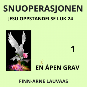 Lukas: Snuoperasjonen - 01 En åpen grav