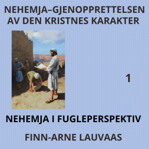 Nehemja - 01 Nehemja i fugleperspektiv