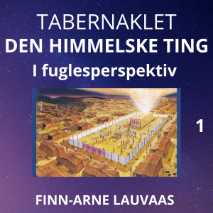 Tabernaklet - 01 Tabernaklet i fugleperspektiv
