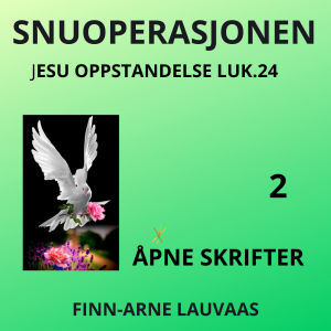 Lukas: Snuoperasjonen - 02 Åpne skrifter