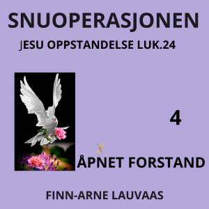 Lukas: Snuoperasjonen - 04 Åpnet forstand