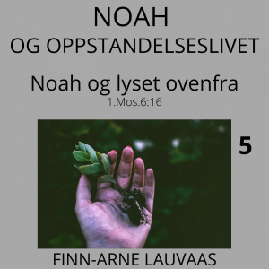 Noah - 05 Noah og lyset ovenfra