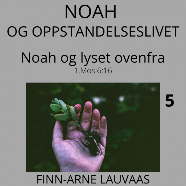 Noah - 05 Noah og lyset ovenfra