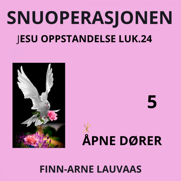 Lukas: Snuoperasjonen - 05 Åpne dører