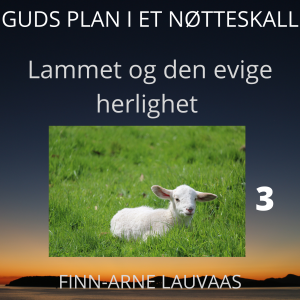 Guds plan i et fugleperspektiv - 03 Lammet og den evige herlighet